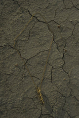 Illusion Necklace Gold Necklace